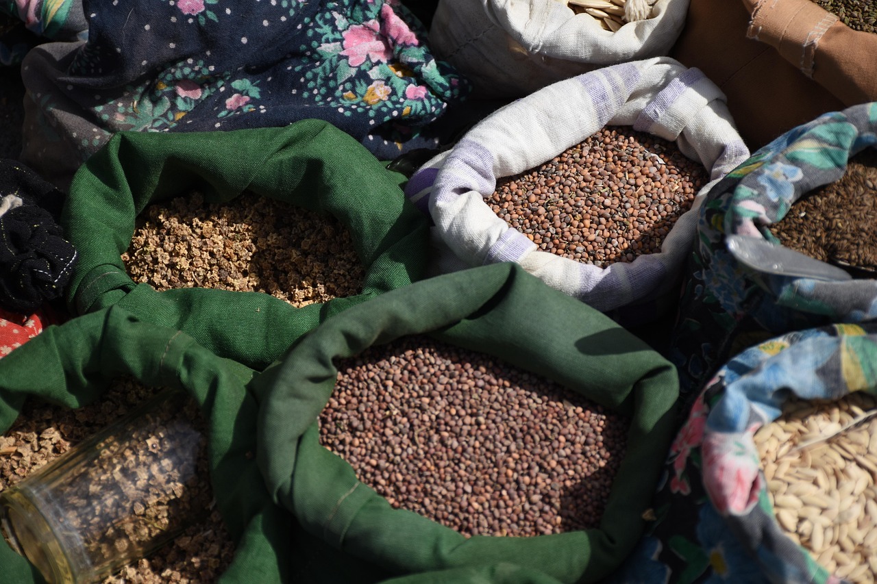 Germinația semințelor de legume