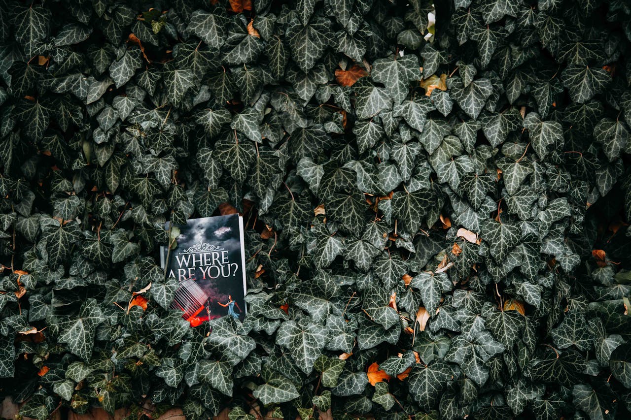 Gard viu colorat: Plante și aranjamente recomandate