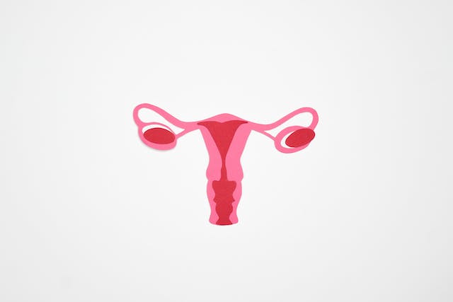 Uterul retrovers: Diagnostic și soluții pentru sănătateUterul retrovers: Diagnostic și soluții pentru sănătate